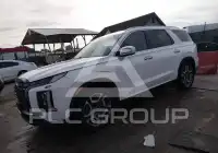 2024 Hyundai Palisade фото