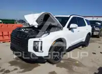 2024 Hyundai Palisade photo