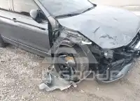 2024 Volkswagen Tiguan фото