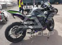 2025 Kawasaki  фото