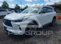 2025 Infinity QX60 photo