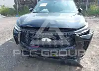 2025 Infinity QX60 photo