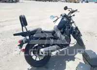 2025 Honda CMX500 photo