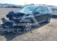 2025 Honda PILOT photo