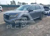 2025 Honda PILOT photo