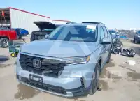 2025 Honda PILOT photo