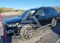 2025 Honda PILOT фото