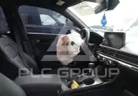 2025 Honda CIVIC фото