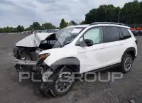 2025 Honda PASSPORT photo