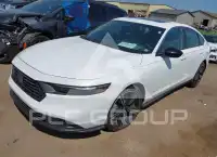 2025 Honda Accord photo