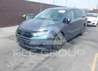 2025 Honda ODYSSEY photo
