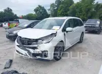 2025 Honda ODYSSEY фото