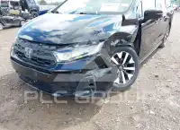 2025 Honda ODYSSEY фото