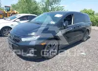 2025 Honda ODYSSEY фото