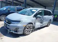 2025 Honda ODYSSEY фото