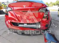 2025 Tesla Model Y фото
