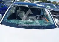 2025 Tesla Model Y фото