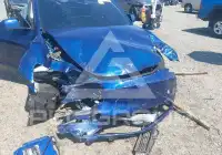 2025 Tesla Model Y photo