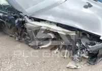 2025 Tesla Model 3 photo