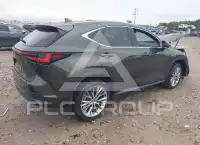 2025 Lexus NX photo
