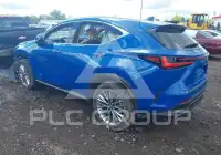 2025 Lexus NX250 photo