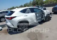 2025 Lexus NX250 фото