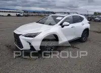 2025 Lexus NX250 photo