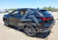 2025 Lexus NX250 фото