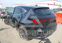 2025 Lexus NX250 photo