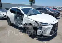 2025 Lexus NX250 фото