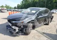 2025 Lexus NX250 photo