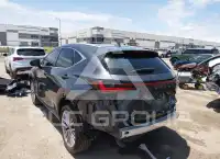 2025 Lexus NX250 photo