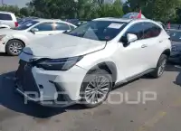 2025 Lexus NX250 фото