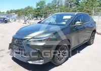 2025 Lexus NX250 фото
