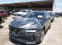 2025 Lexus NX250 photo