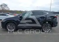 2025 Lexus NX250 photo