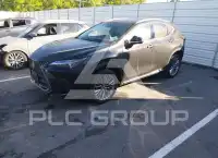 2025 Lexus NX250 фото