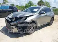 2025 Lexus NX250 фото