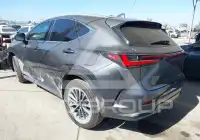 2025 Lexus NX250 photo