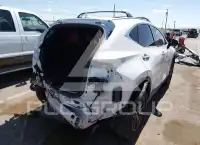 2025 Lexus NX250 photo
