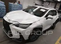 2025 Lexus NX250 photo