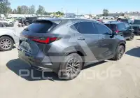 2025 Lexus NX250 фото