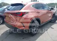 2025 Lexus NX250 photo
