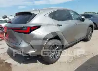 2025 Lexus NX250 photo