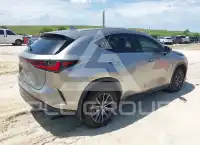 2025 Lexus NX250 фото