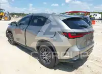 2025 Lexus NX250 фото