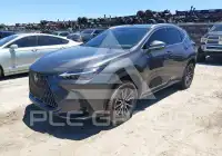 2025 Lexus NX250 фото