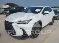 2025 Lexus NX250 фото