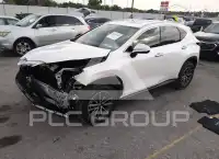 2025 Lexus NX250 фото