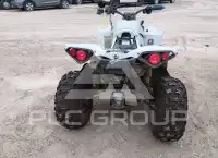 2025 Can-AM RENEGADE фото
